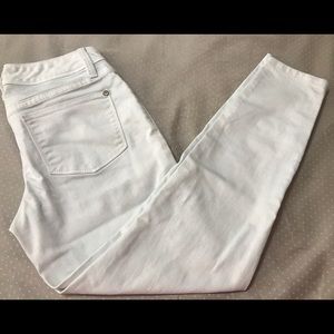 The Limited Denim Skinny Leg Petite